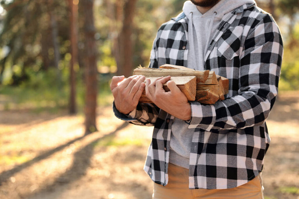 Man with cut firewood in forest, closeup - Zdjęcie, obraz