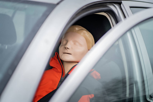 Model resuscytacji siedzi na siedzeniu kierowcy gotowy do kolejnej symulacji medycznej podczas profesjonalnego kursu pierwszej pomocy - Zdjęcie, obraz