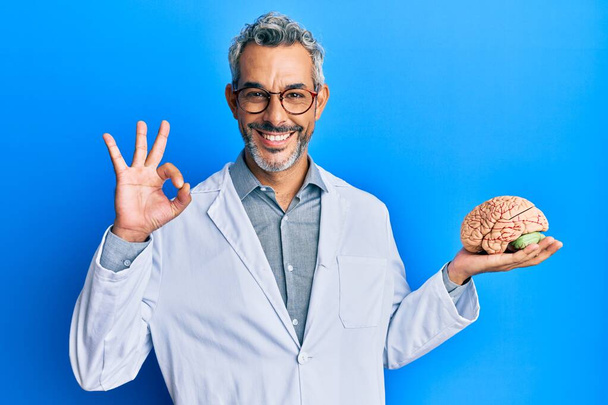Middle age grey-haired man wearing doctor coat holding brain doing ok sign with fingers, smiling friendly gesturing excellent symbol  - Foto, Bild