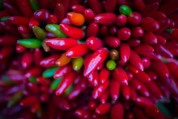 Red hot chilly pepers closeup background - Foto, immagini