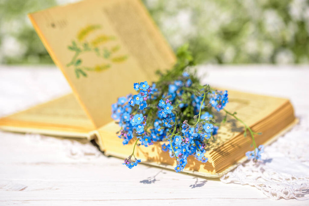 Open vintage book, blue forget-me-not flowers on wooden table, cozy morning in the village, sunny summer, holidays. Book of Batanica - Fotoğraf, Görsel