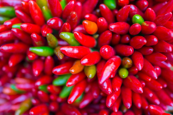 Red hot chilly pepers closeup background - Фото, изображение