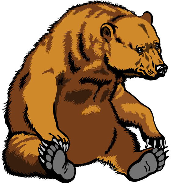 Sitting Grizzly Bear - Vector, Image