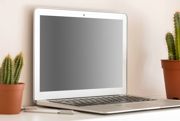 Kompaktowy srebrny laptop z wyłączonym czarnym ekranem, siedzący na półce z dwoma kaktusami w brązowych doniczkach. Widok z bliska pod kątem - Zdjęcie, obraz