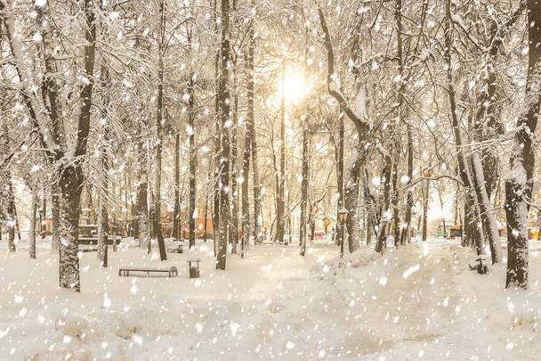 Ισχυρή χιονόπτωση στο πάρκο της πόλης χειμώνα που καλύπτεται με χιόνι σε μια ηλιόλουστη μέρα του χειμώνα. - Φωτογραφία, εικόνα
