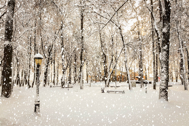 Forte queda de neve no parque da cidade de inverno coberto de neve em um dia ensolarado de inverno. - Foto, Imagem