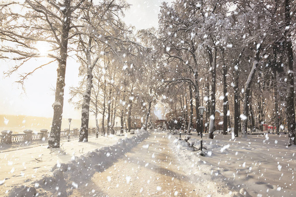 Sterke sneeuwval in de winter stadspark bedekt met sneeuw op een zonnige winterdag. Zonnestralen die door bomen breken en vallende sneeuwvlokken. - Foto, afbeelding