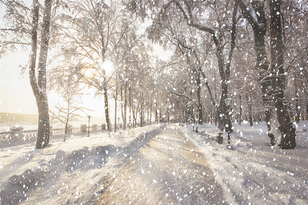 Silne opady śniegu w zimowym parku miejskim pokryte śniegiem w słoneczny zimowy dzień. Promienie słoneczne przedzierające się przez drzewa i spadające płatki śniegu. - Zdjęcie, obraz