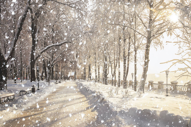 Fuertes nevadas en el parque de la ciudad de invierno cubierto de nieve en un día soleado de invierno. Rayos solares rompiendo árboles y cayendo copos de nieve. - Foto, Imagen