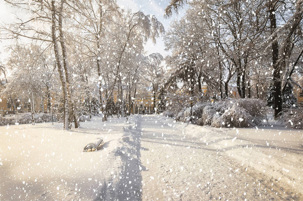 Fortes chutes de neige dans le parc de la ville d'hiver couvert de neige par une journée d'hiver ensoleillée. Rayons de soleil perçant les arbres et tombant flocons de neige. - Photo, image