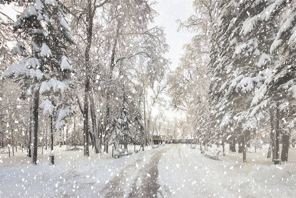 Forte chute de neige dans le parc de la ville d'hiver couvert de neige par une journée d'hiver ensoleillée. - Photo, image