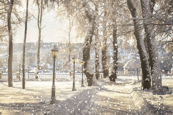 Сильні снігопади в зимовому міському парку вкриті снігом в сонячний зимовий день. Сонячні промені, що пробиваються крізь дерева і падають сніжинки
. - Фото, зображення