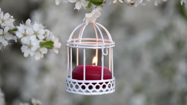 Close up of a cute red candle in white candle lantern. The white cherry flowers blooming in the background. This video has a beautiful mystical and romantic atmosphere. - Footage, Video