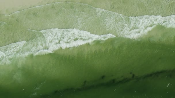 Vue aérienne vagues portant marée rouge fleur toxique - Séquence, vidéo