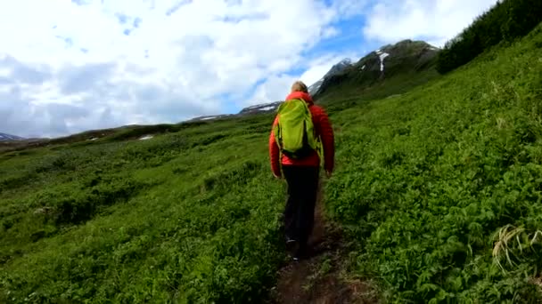POV Kaukasische vrouwelijke wandelaar wandelen langs spoor langs groene zomer vegetatie Alaska Wildernis berglandschap Noordwest Alaska USA - Video