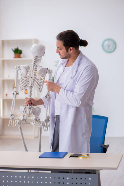 Jeune homme médecin démontrant squelette humain - Photo, image