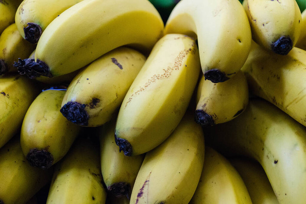 Bananas on a plantation on Madeira Island - Photo, image
