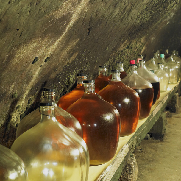 Cave à vin, Bily sklep rodiny Adamkovy, Chvalovice, République tchèque
 - Photo, image