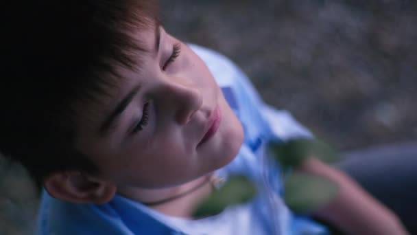 mannelijk kind zit in de boom en kijkt op naar de hemel en zonsondergang in de late avond - Video