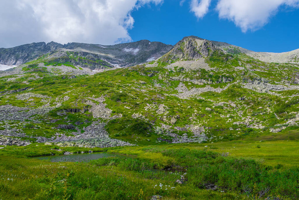 Rotskam met sneeuw en stenen plaatsen onder de blauwe hemel. Zomervakantie naar bergdal. Sfeervol alpenlandschap met stenige weide met groen gras. - Foto, afbeelding