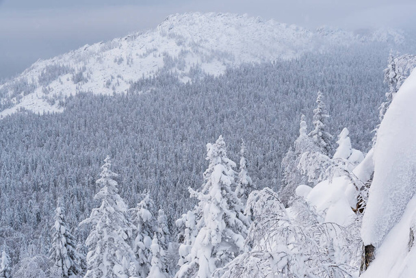 Colinas de invierno en la mañana helada neblina. Bosque de nieve en pendiente - Foto, imagen