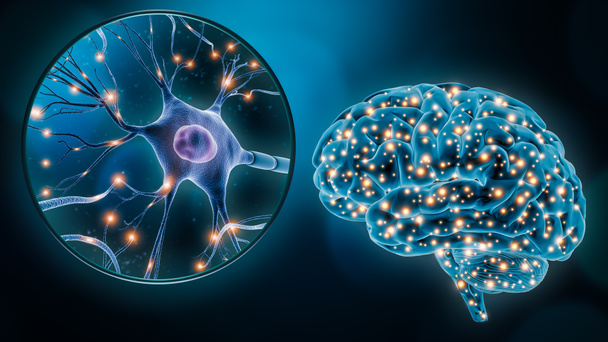 Nöron hücresinin 3 boyutlu görüntülemesi ile insan beyninin nöronal uyarılması ya da aktivitesi. Nöroloji, nöroloji, tıp, bilim, kavrayış, zeka, psikoloji kavramları. - Fotoğraf, Görsel