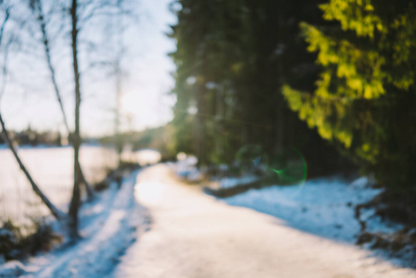 Сніжна дорога вниз по лісу в сонячний день в зимовий час біля озера Согнсванн в Осло, Норвегія, Скандінавія. - Фото, зображення