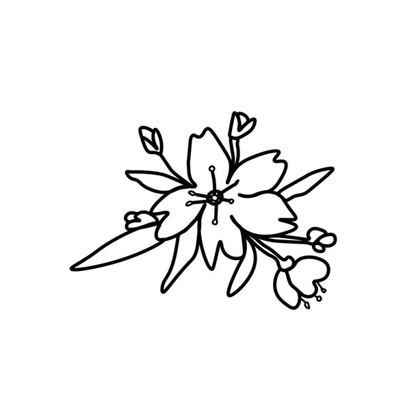 Fiore asiatico vettoriale in stile doodle Illustrazione botanica primaverile per il capodanno cinese.Sakura di fiori di ciliegio con linea disegnata a mano nera.Schede di design, social media, matrimoni, adesivi, libri da colorare. - Vettoriali, immagini