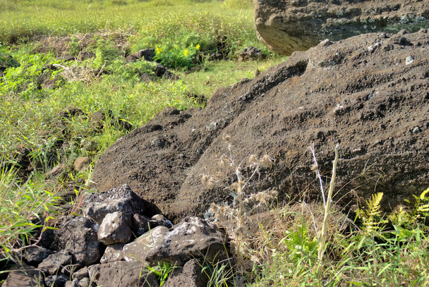 Остатки статуи Моаи лежат на земле у подножия вулкана Рано Рараку, археологическое место на острове Пасхи, Чили - Фото, изображение