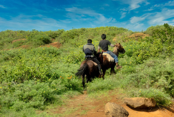 馬に乗って男｜花ローアイースター島 - 写真・画像
