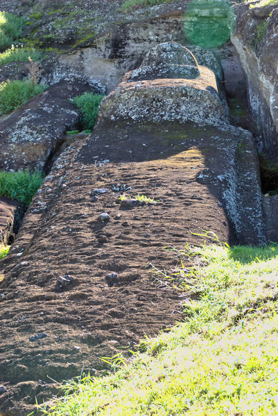 Tohle je největší moai, co kdy byl vytesán na Velikonočním ostrově. Stále sedí v Rano Raraku, připraven k přesunu na své konečné místo. Pokud by byl dokončen a vztyčen, byl by 21 metrů vysoký a vážil 270 tun. - Fotografie, Obrázek