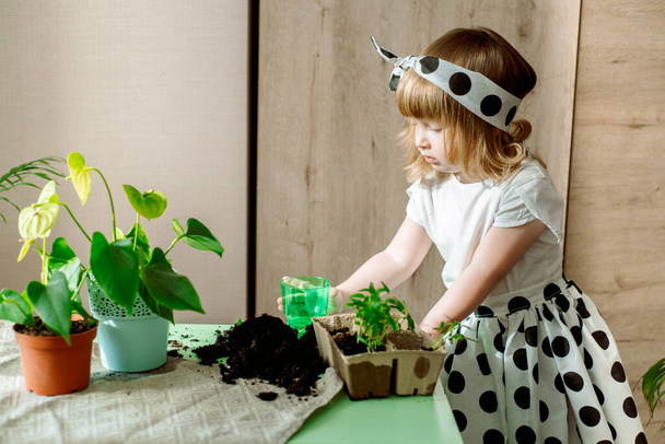 Beautiful cute baby girl at home, exotic indoor plants. care and transplant of plants and flowers. Green leaves, soil and watering grass. - Foto, Imagen