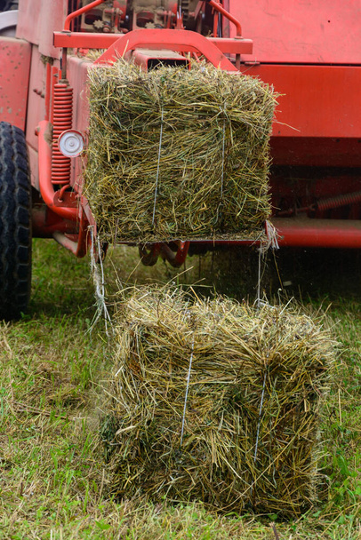 Old tractor in the field, forage harvesting for the winter, press and hay, pressing dry grass.2020 - Photo, Image