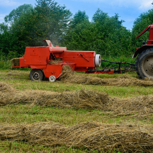 The tractor collects dry hay in the field, the hay presses the bale press, work in the field.2020 - Photo, Image