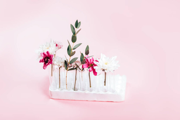 Gyönyörű virágok egyenként rendezett kémcsövek rózsaszín háttér - Fotó, kép