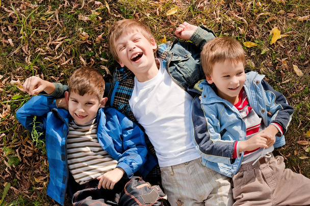 Мальчики на траве
 - Фото, изображение