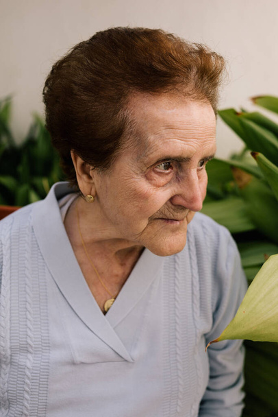Портрет літньої жінки, оточеної рослинами. Бабуся садівника
 - Фото, зображення
