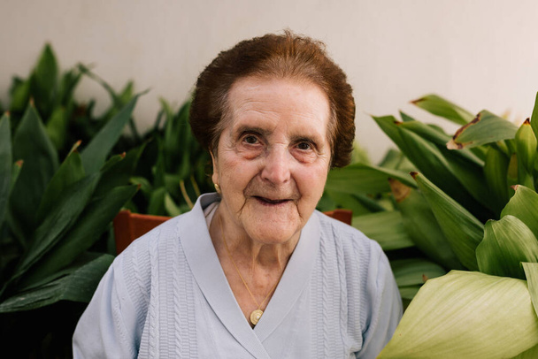 Egy idősebb nő portréja, növényekkel körülvéve. A növények a szenvedélye. Kertésznagymama - Fotó, kép