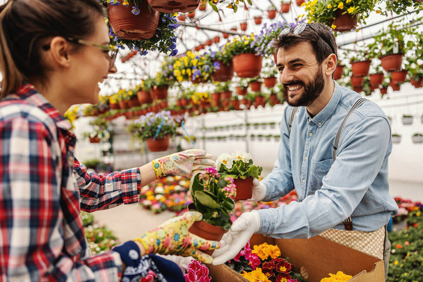 Man giving woman pots with flowers and helping her organize it. Nursery garden interior. - Photo, Image