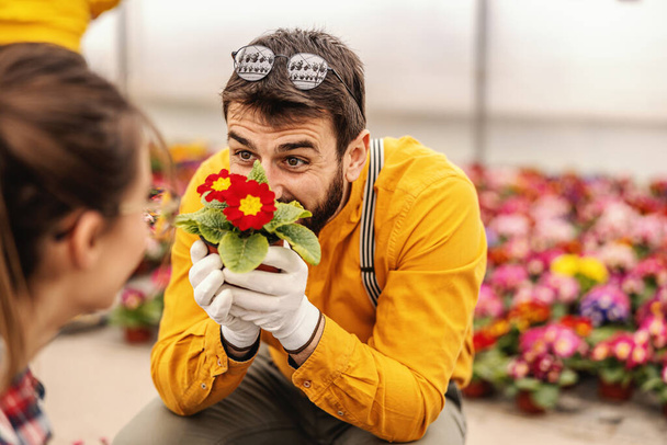 Junger lächelnder Gärtnermeister hält Topf mit Blumen und flirtet mit seinem Kollegen, der auch seine Freundin ist. - Foto, Bild