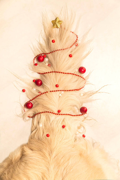 Lichte hond staart versierd als een kerstboom - Foto, afbeelding