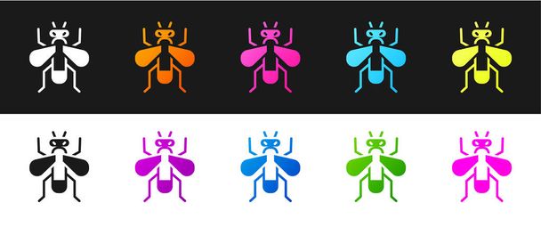 Set Icono de mosca insecto aislado sobre fondo blanco y negro. Vector. - Vector, imagen