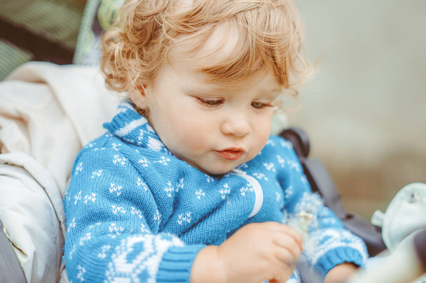 pequeño niño feliz sentado en un cochecito en una blusa azul - Foto, imagen