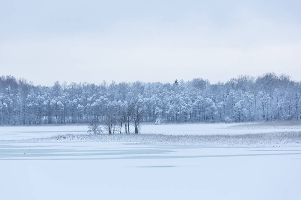 winter lanscape in january 2021 - 写真・画像
