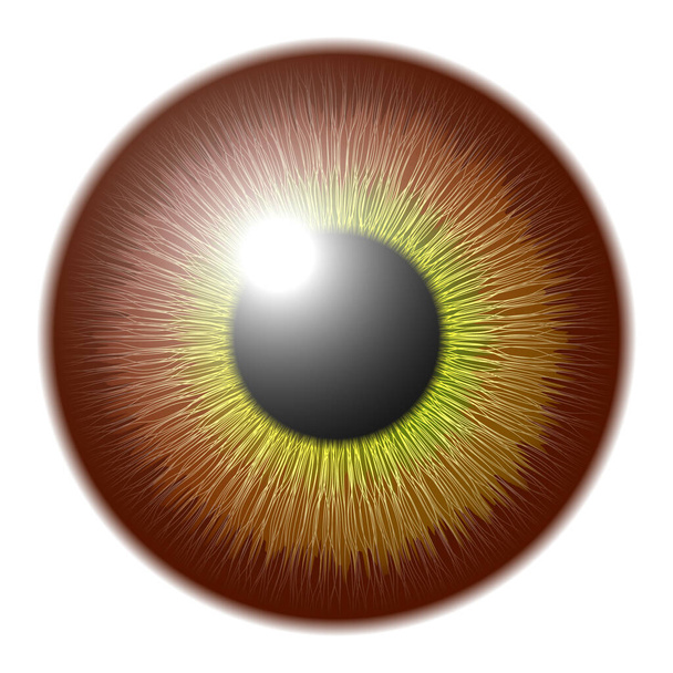 Vector eye in graphic style - Vector, Image