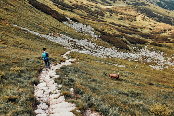 Young man with backpack hiking in a mountains, actively spending summer vacation. Rear view of teenager walking down from top of a hill to valley along mountain footpath - Foto, afbeelding