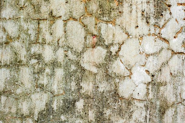 Texture, wall, concrete, it can be used as a background. Wall fragment with scratches and cracks - Zdjęcie, obraz