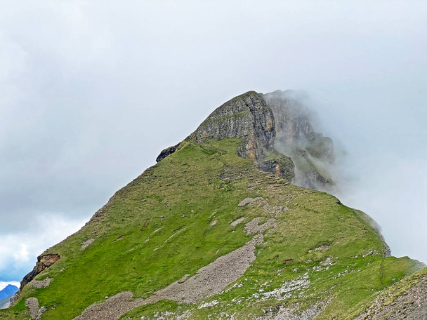 Alpine peak Forstberg of the mountain range First and in the Schwyz Alps mountain massif, Oberiberg - Canton of Schwyz, Switzerland (Kanton Schwyz, Schweiz) - Fotoğraf, Görsel