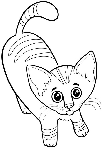 Black and white cartoon illustration of cute tabby kitten comic animal character coloring book page - Vector, Imagen
