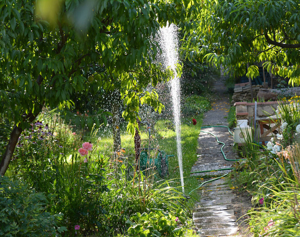 In de zomer, de tuin werkt een sprinkler systeem irrigatie - Foto, afbeelding